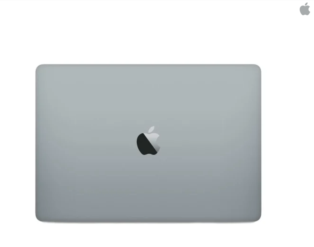 Apple 13