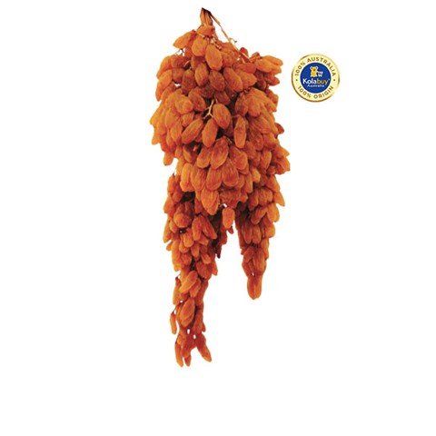 Thompson 1kg (No box) - Ausara nho khô nguyên cành Úc 1kg (không hộp)