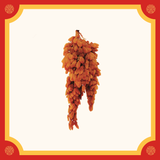 [Thompson Hộp quà 0,5kg] Nho khô nguyên cành Úc cao cấp Premium Thompson