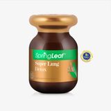 Viên uống bổ phổi SpringLeaf Super Lung Detox 60 viên