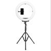 R119+FL2019 – Kingjoy 19” LED Video Ring Light with Light Stand (FKR19) - Đèn Led Kingjoy R119 kèm chân đèn FL2019 | Dùng trong Studio , Livestream , Quay Phim