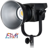 Nanlite Forza 200 LED Monolight (FN104)