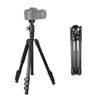 Chân Máy Ảnh G555+G0 Section Travel Tripod Detachable Monopod – Chính Hãng KINGJOY