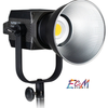 Nanlite Forza 200 LED Monolight (FN104)