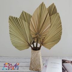 Lá Cọ Khô Màu Tự Nhiên Ecom Studio Trang Trí Nhà Cửa, Tiệc Cưới, Chụp Hình, Livestream,...