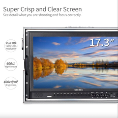 Feelworld SEETEC P173-9HSD-CO 17.3