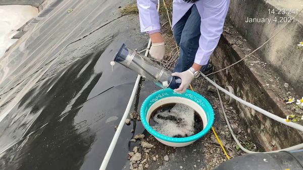  【BÃI RÁC NAM SƠN】ĐÁNH GIÁ, ĐO NỒNG ĐỘ MÙI TRƯỚC VÀ SAU XỬ LÝ 