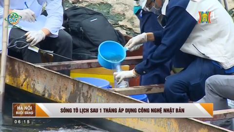 BẢN TIN HANOITV 19/06/2019: SÔNG TÔ LỊCH SAU 1 THÁNG ÁP DỤNG CÔNG NGHỆ NHẬT BẢN