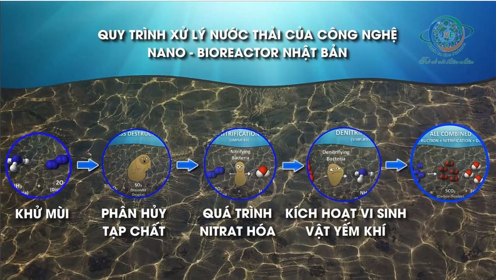  JVE - MÔ PHỎNG NGUYÊN LÝ CÔNG NGHỆ NANO-BIOREACTOR NHẬT BẢN 