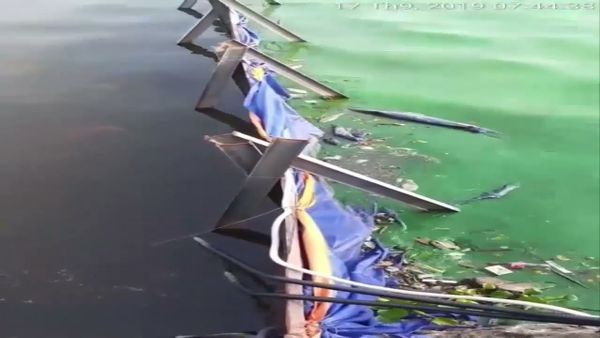  【HỒ TÂY】SO SÁNH CHẤT LƯỢNG NƯỚC TRONG VÀ NGOÀI KHU VỰC XỬ LÝ 