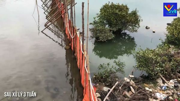  【HỒ HÙNG THẮNG, HẠ LONG, QN】SỰ KHÁC NHAU GIỮA TRƯỚC VÀ SAU XỬ LÝ 