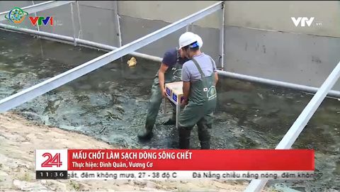 BẢN TIN CHUYỂN ĐỘNG 24H NGÀY 17/06/2019: MẤU CHỐT LÀM SẠCH DÒNG SÔNG CHẾT