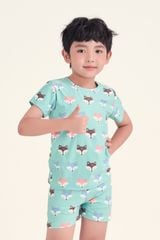 KST012S41 - BỘ SHORT THUN BÉ TRAI