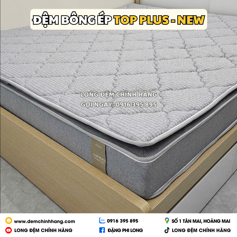 Đệm Bông Ép Top Plus - New