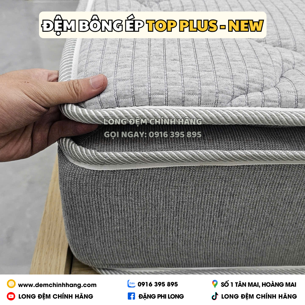 Đệm Bông Ép Top Plus - New