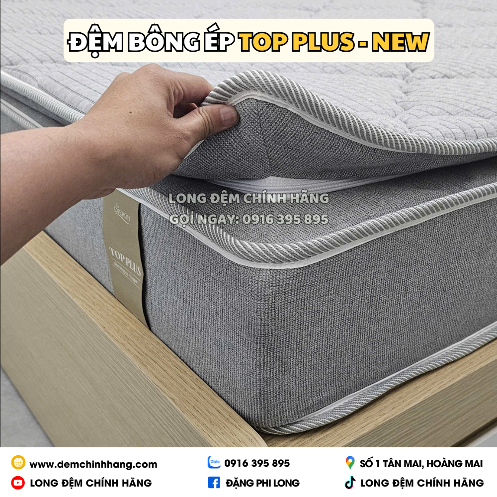 Đệm Bông Ép Top Plus - New