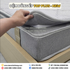Đệm Bông Ép Top Plus - New