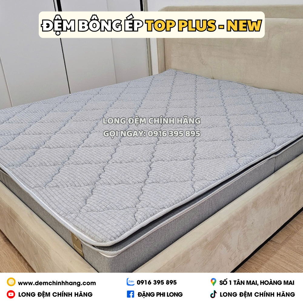 Đệm Bông Ép Top Plus - New