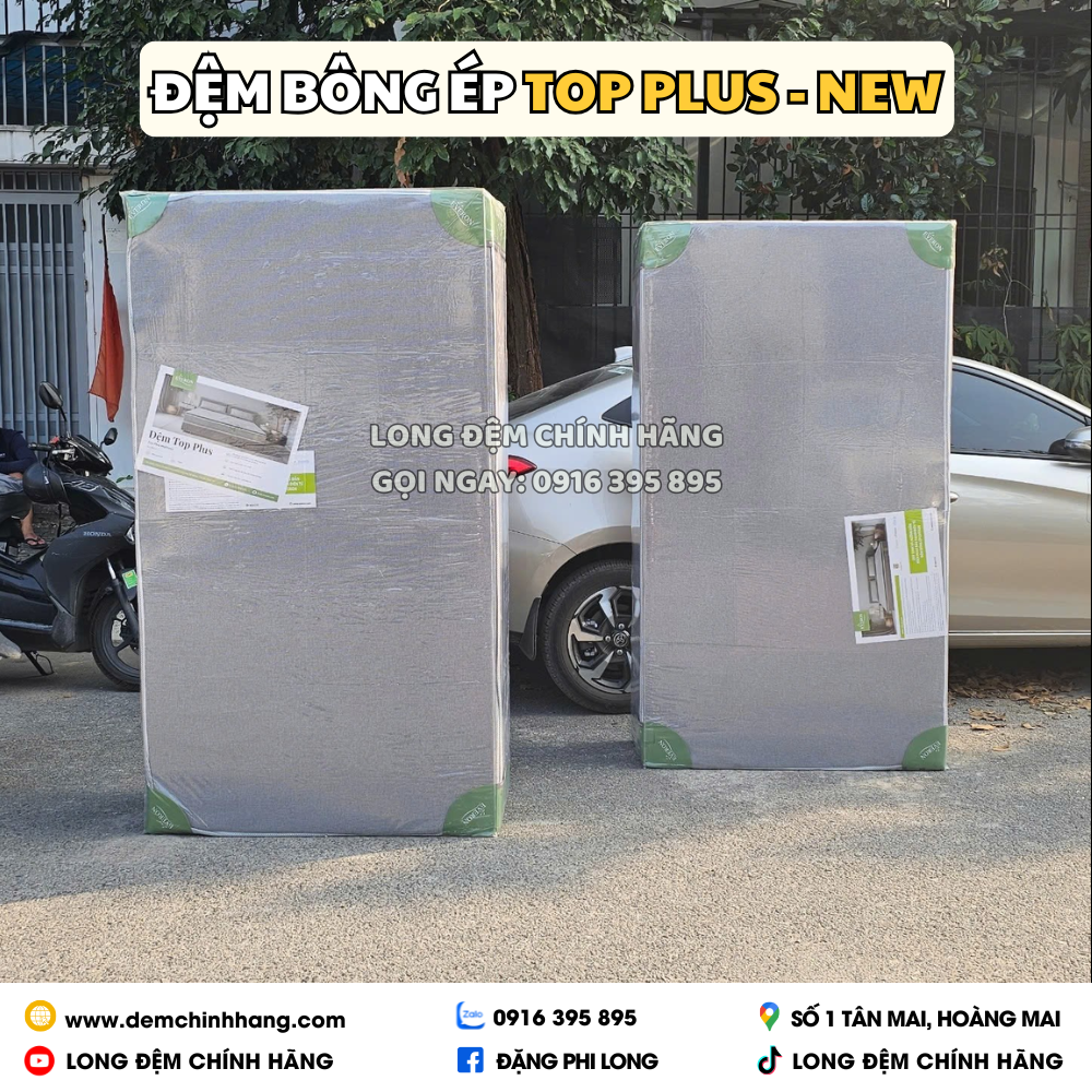 Đệm Bông Ép Top Plus - New