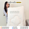Ruột chăn Everon Micro