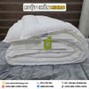 Ruột chăn Everon Micro