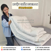 Ruột Chăn Truyền Thống Everon Standard