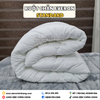 Ruột Chăn Truyền Thống Everon Standard