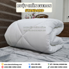 Ruột Chăn Truyền Thống Everon Standard