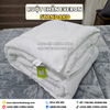Ruột Chăn Truyền Thống Everon Standard