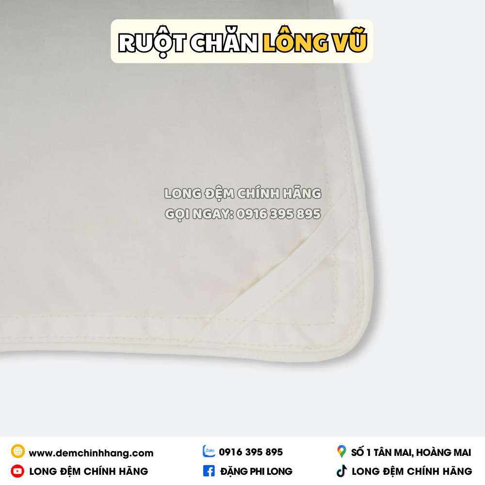 Ruột chăn đông lông vũ Everon