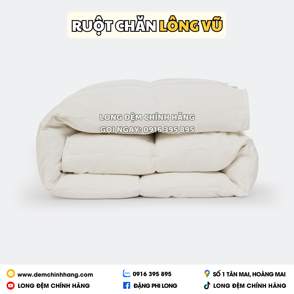 Ruột chăn đông lông vũ Everon