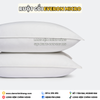 Ruột Gối Everon Micro