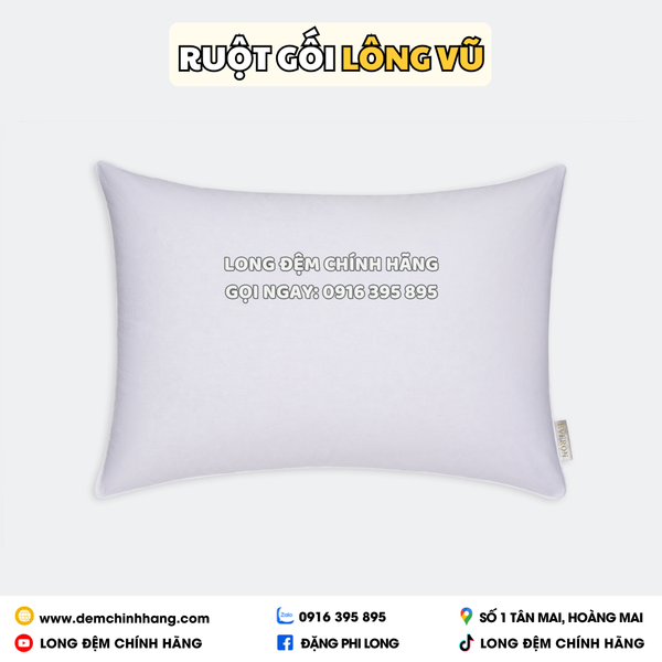 Ruột gối Lông Vũ