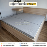 Đệm Bông Ép Everon