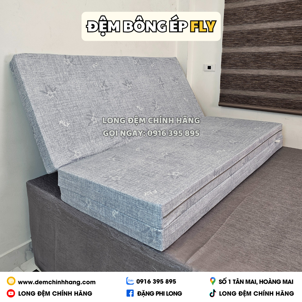 Đệm bông ép Fly Elan