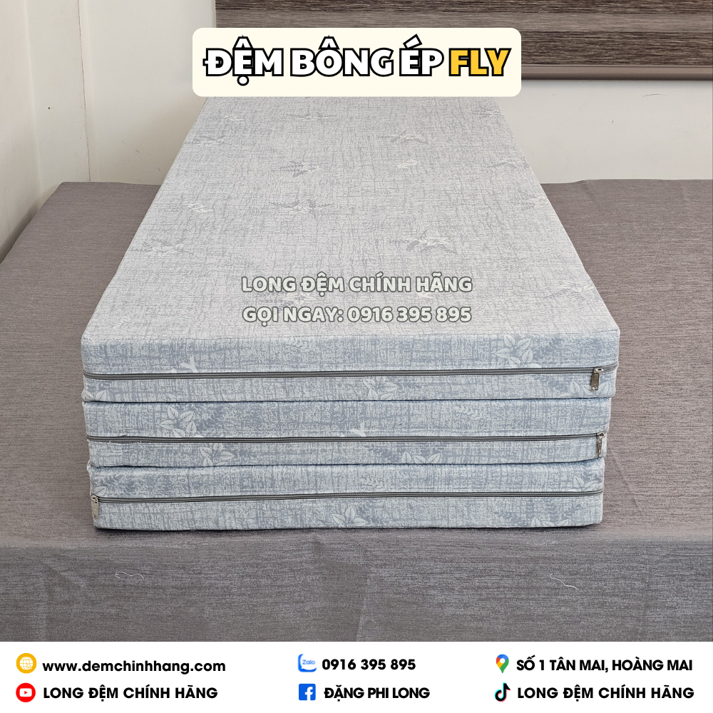 Đệm bông ép Fly Elan