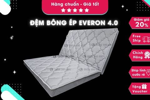 Đệm bông ép Everon 4.0