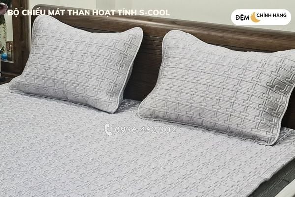 Bộ chiếu mát S-Cool than hoạt tính Hanvico