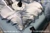 Bộ Chăn Ga Tencel FreeMonde DCH201