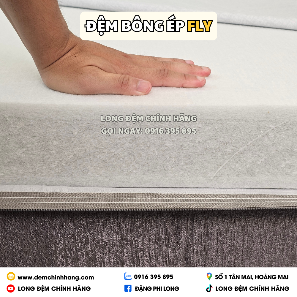 Đệm bông ép Fly Elan