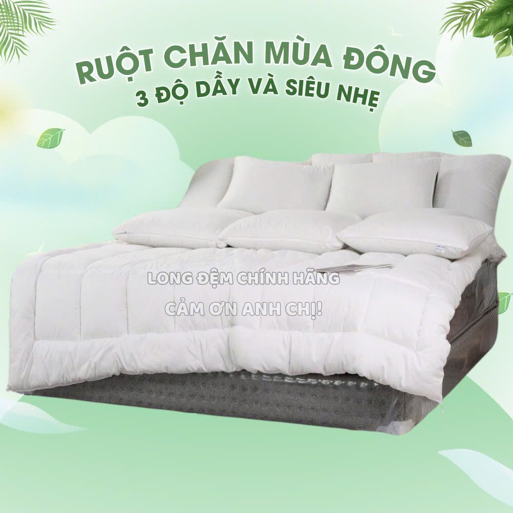 Ruột chăn Elan