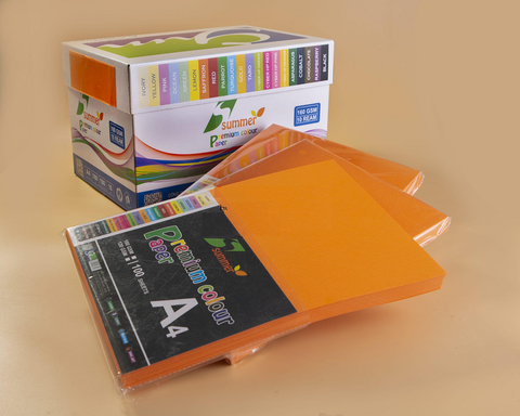 Bìa màu A4 MÀU VÀNG NGHỆ - Định lượng 160gsm - 100 tờ/tập
