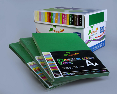 Bìa màu A4 MÀU XANH LÁ GIÀ - Định lượng 120gsm - 100 tờ/tập