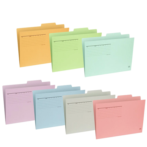 Tập 10 Bìa giấy IF A4-E Plus - Individual folder A4 E87 - File đặt bàn, file lệch