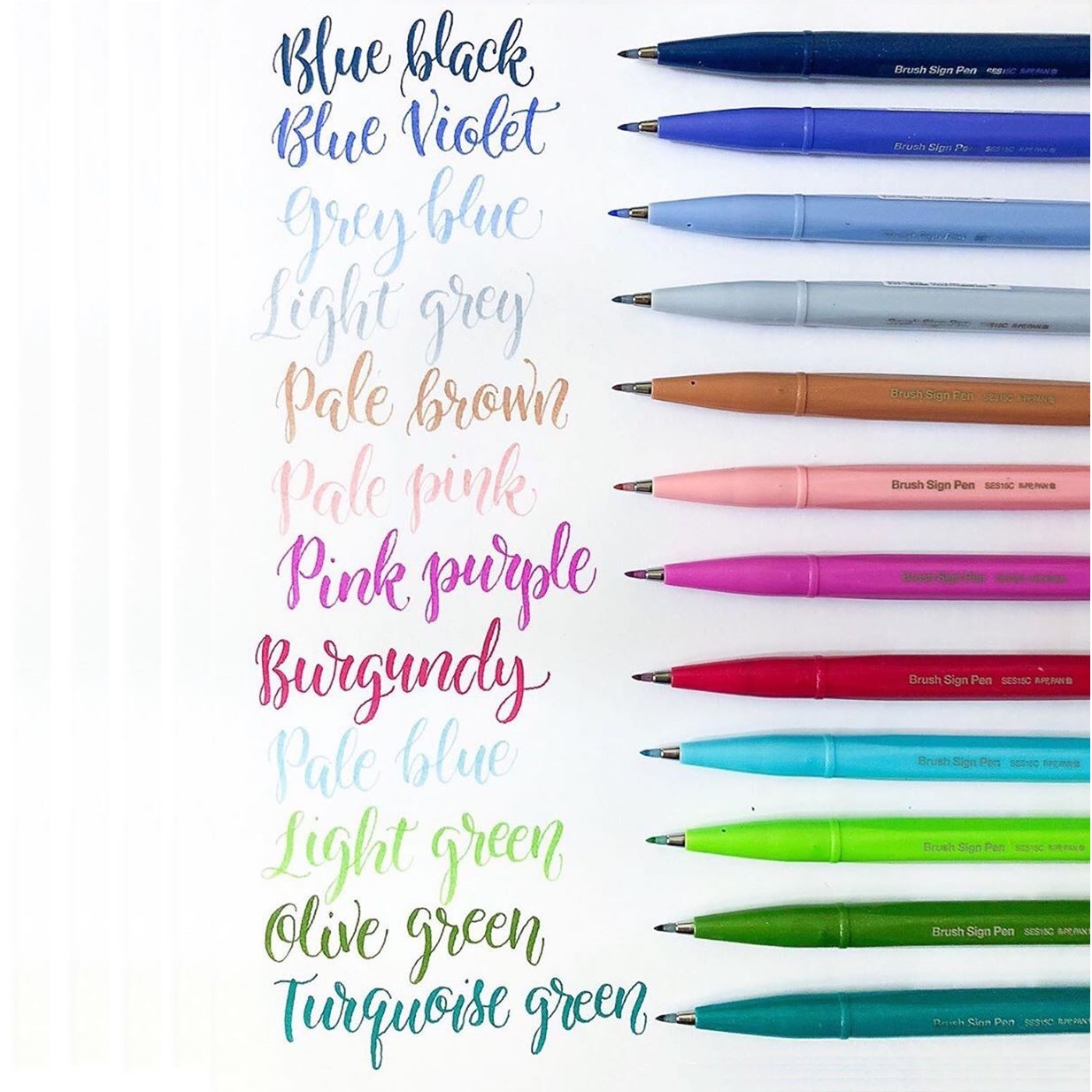 [THANH LÝ] Bút viết thư pháp Calligraphy Pentel SES15C