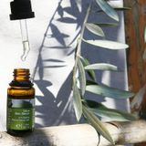  Serum Squalene Chống Lão Hóa Và Dưỡng Ẩm - Botani Olive Skin Serum 