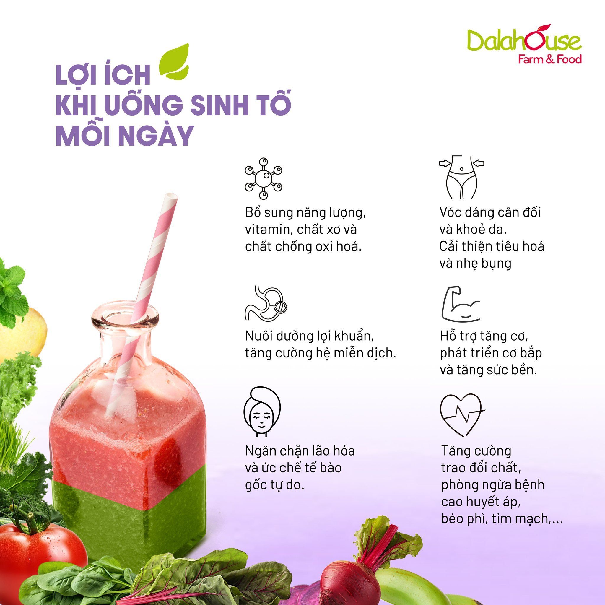  Bột Sinh Tố Organic Dalahouse - Smoothies dinh dưỡng từ rau củ hữu cơ 