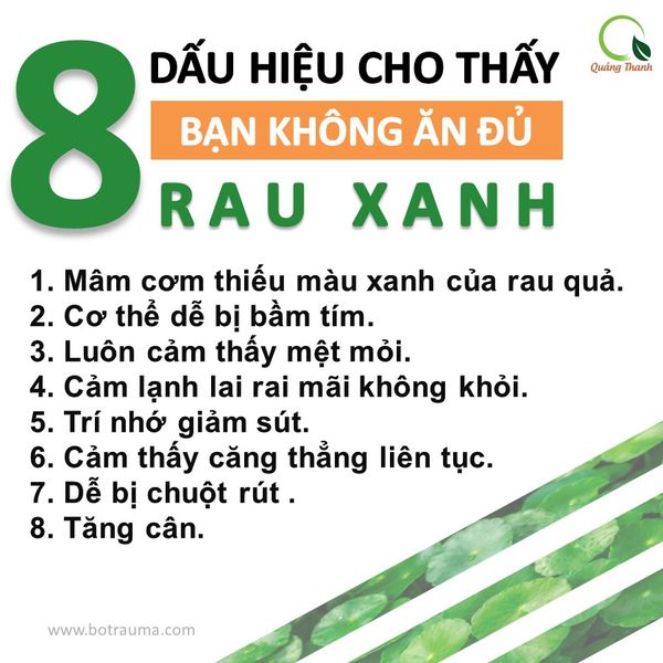  BỘT RAU MÁ UỐNG LIỀN ORAMA QUÃNG THANH - KHÔNG ĐƯỜNG 