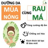  BỘT RAU MÁ UỐNG LIỀN ORAMA QUÃNG THANH - CÓ ĐƯỜNG 