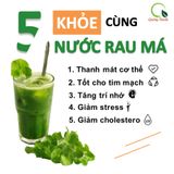  BỘT RAU MÁ UỐNG LIỀN ORAMA QUÃNG THANH - CÓ ĐƯỜNG 